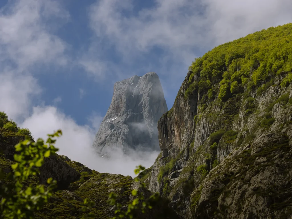 Naranjo de Bulnes